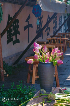 清照泉城开启夏日主题活动18℃泉水解锁宋韵清凉度假