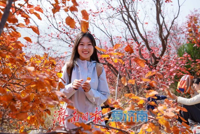 一年四季 泉在济南丨济南蝎子山秋色“美出圈”！半山红妆半山青翠，独特“鸳鸯火锅”景观引客来
