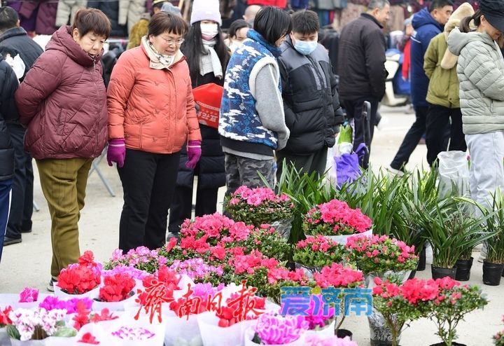 腊月年集人气旺，仲宫大集年味浓