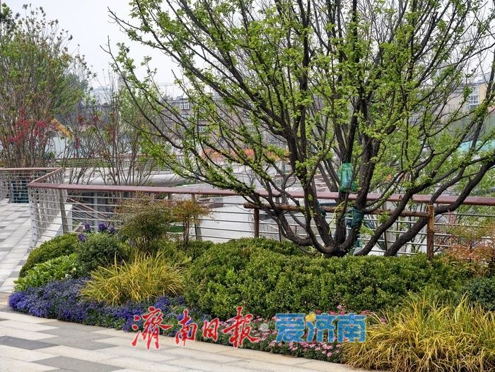 一年四季 泉在济南丨全福河滨水景观带静待开放，济南春日踏青再添新景