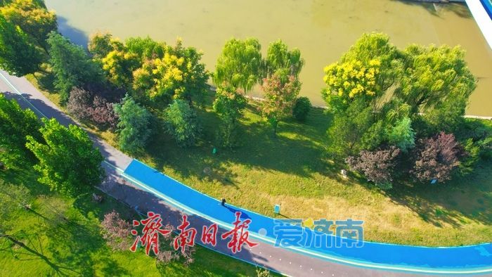 济南彩虹湖公园邂逅一场初秋的诗意与清凉