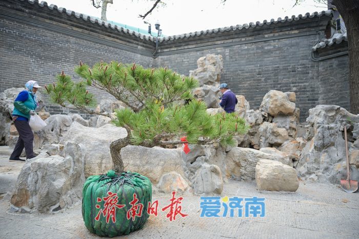 山东古建筑博物馆庭院“微更新”，历史与观赏双提升