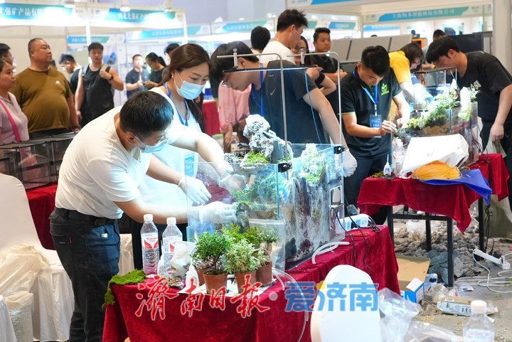 方寸之间藏天地！展会水陆缸微景观造景大赛激战正酣，高手齐聚济南