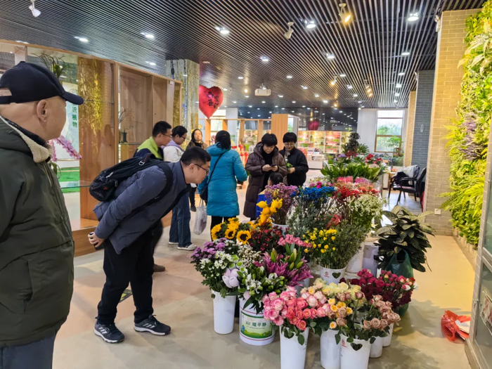 逛公园还能把心仪的年宵花带回家！济南5处公园里的年宵花展正在进行