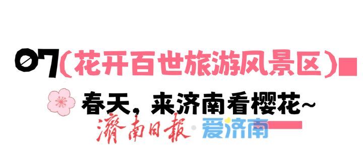 接下来，济南的人设是“樱花主理人”