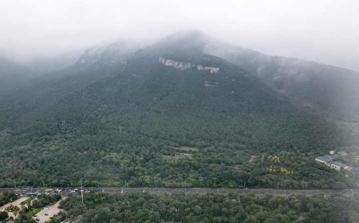 秋雾漫漫似丹青