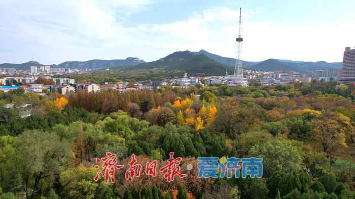 初冬泉城醉美游人