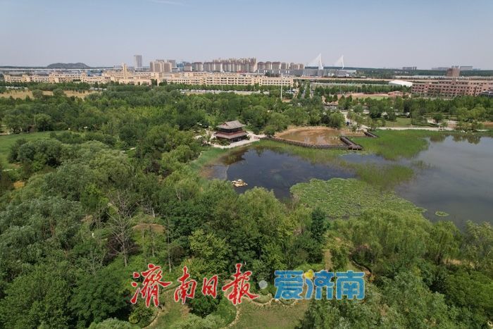 一年四季 泉在济南 