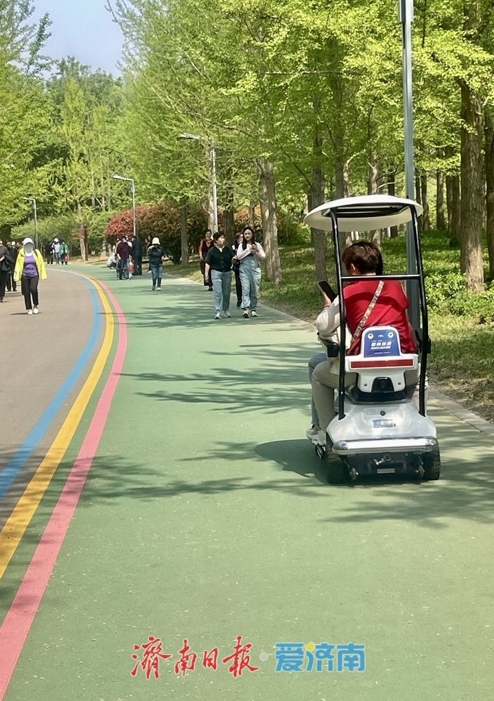 济南森林公园成市民露营健身好去处