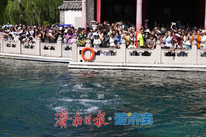 国庆假期第二天，趵突泉景区开启“人从众”模式