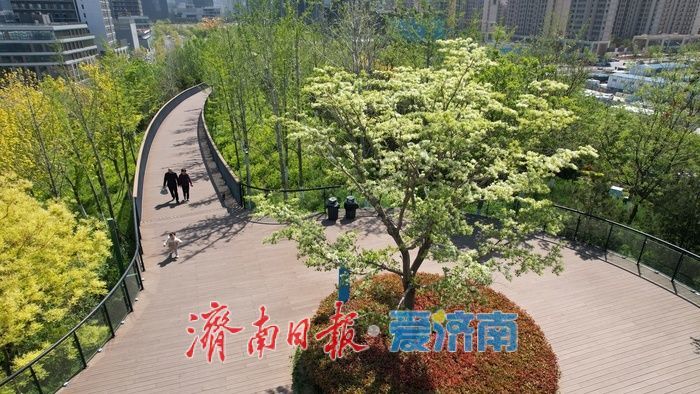 济南茂岭山山体公园绿意盎然，市民乐享绿色生态空间