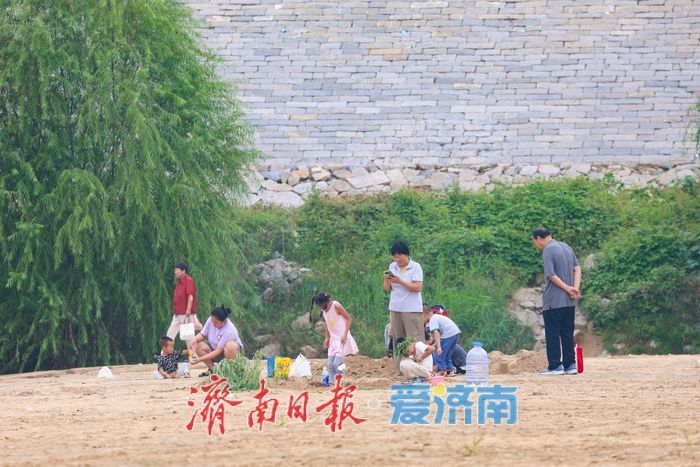 一年四季 泉在济南丨枕黄河涛声 享露营时光