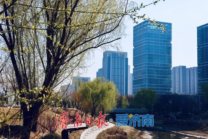 春日限定！腊山河公园柳芽萌动杏花盛放