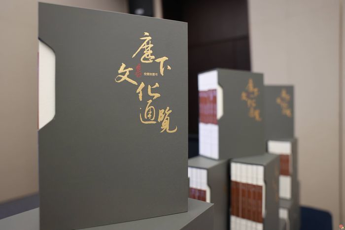 高质量发展开新局 强省会建设走在前 历下：向着国际化一流中心城区疾步向前