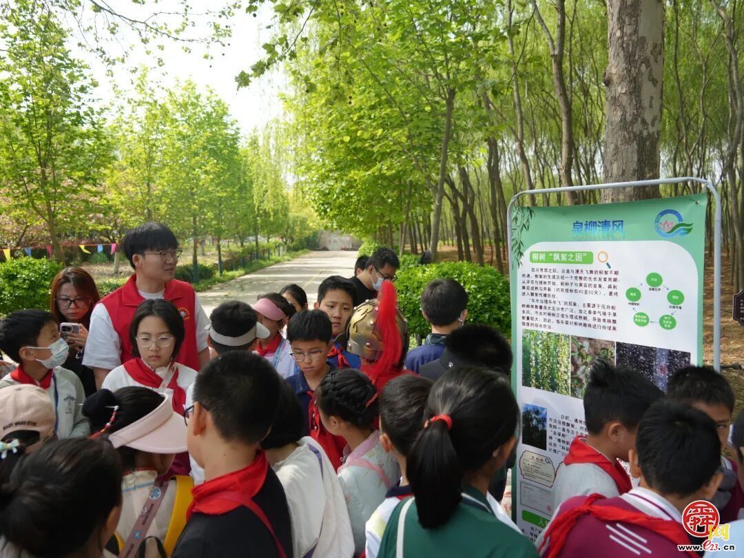“绿满齐鲁 ——‘森’临其境·守护地球”