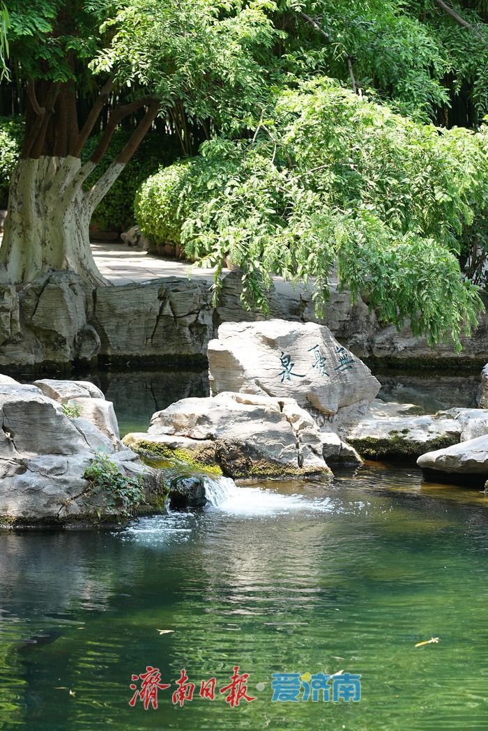 一年四季 泉在济南丨“泉如其名”，畅享无忧泉畔惬意时光