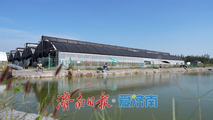 从“城市供应链”到“乡村产业链”——济南起步区新农人赵振华的二十年归途