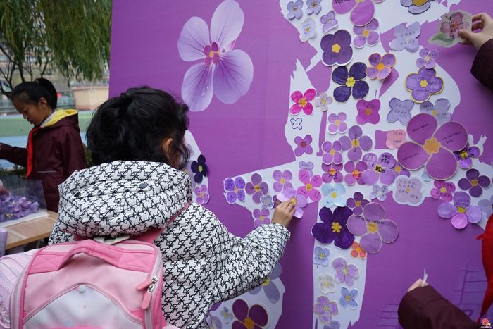 济南市历下区燕山小学开展爱国主义教育：一朵紫金草，绽放和平之花