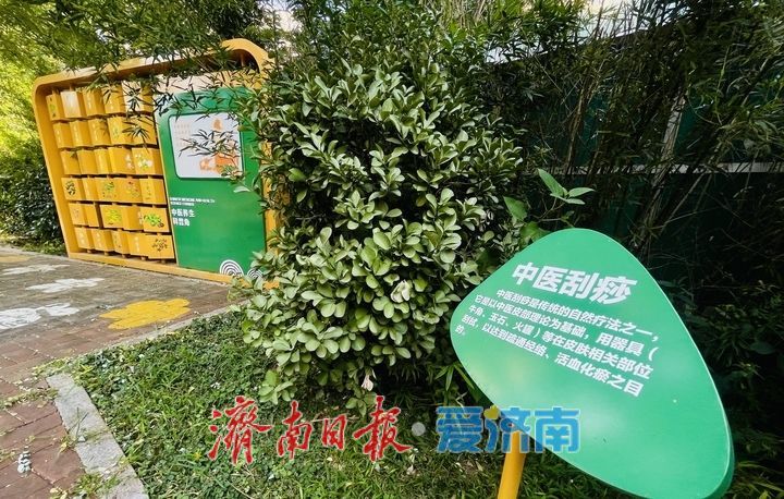 方寸间的户外中医课堂