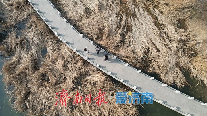 春日孟家水库风光旖旎，美成诗画