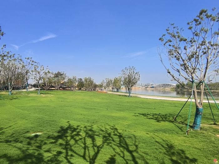 再出发，再推进！济南市政协启动“绿地开放共享‘再商量’”并开展第一次调研