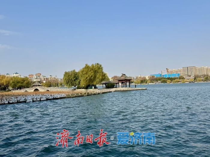 一年四季 泉在济南丨冬日大明湖静谧雅致 湖光冬韵醉泉城