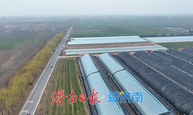 济南这颗西瓜，种出十亿产业！