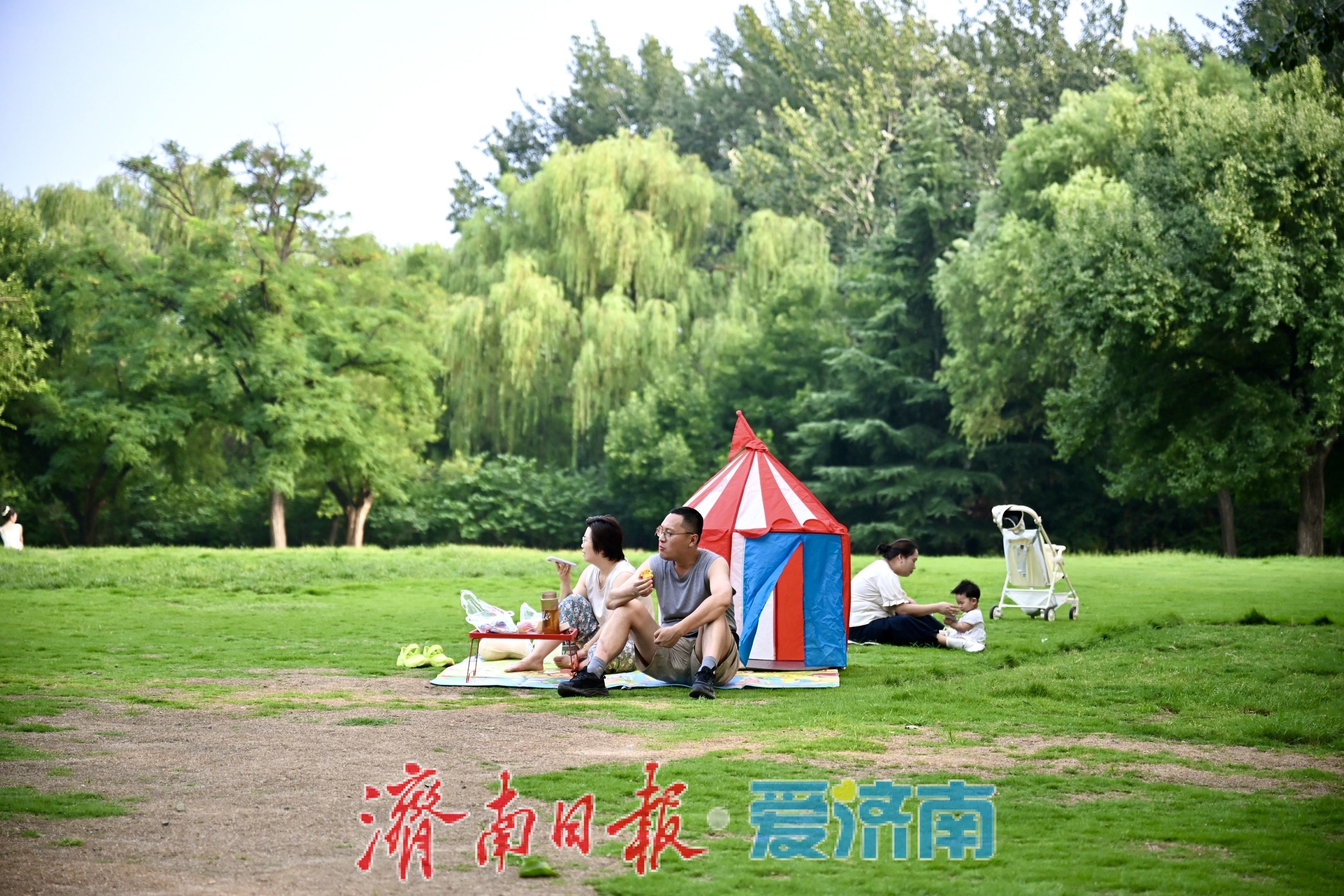 一年四季 泉在济南丨济南森林公园绿地草坪变身避暑胜地，市民林间纳凉乐享夏日慢时光