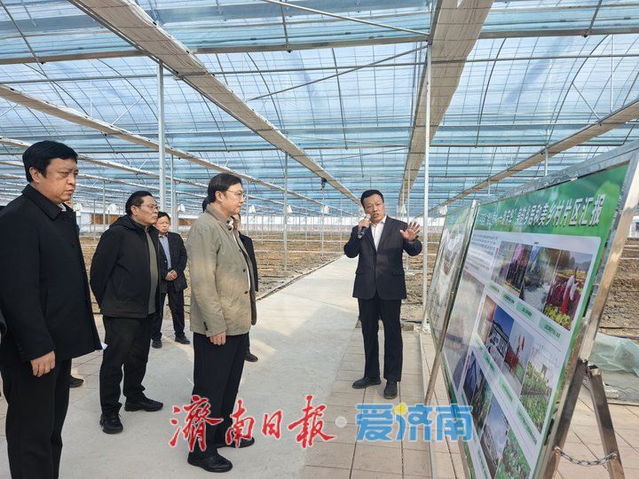 把乡村建设得更加宜居宜业 杨峰到长清区、平阴县调研乡村振兴工作