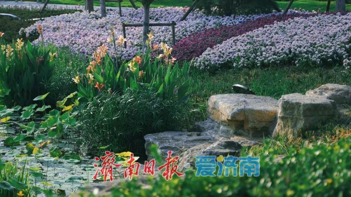 一年四季 泉在济南丨白泉湿地公园对外开放吸引众多市民关注