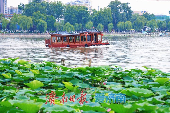 漫步湖畔赏美景 欢度端午享闲暇