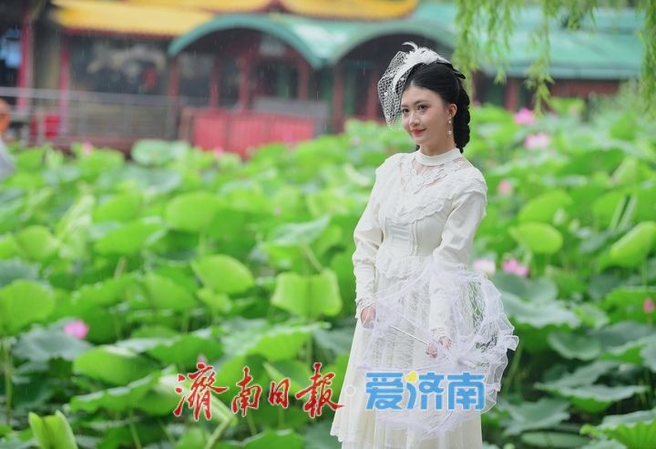 一年四季 泉在济南｜雨打荷花别样艳，泉城明湖江南韵