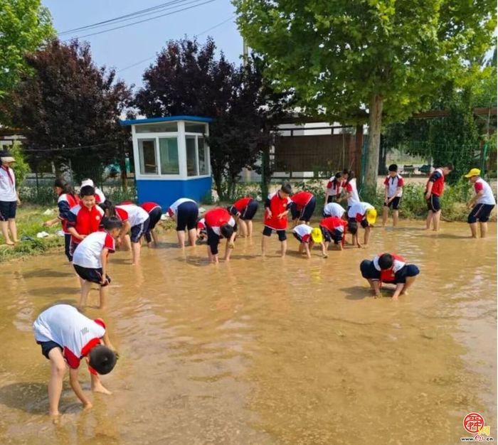 槐荫：多样态教学  绽放教育发展新魅力