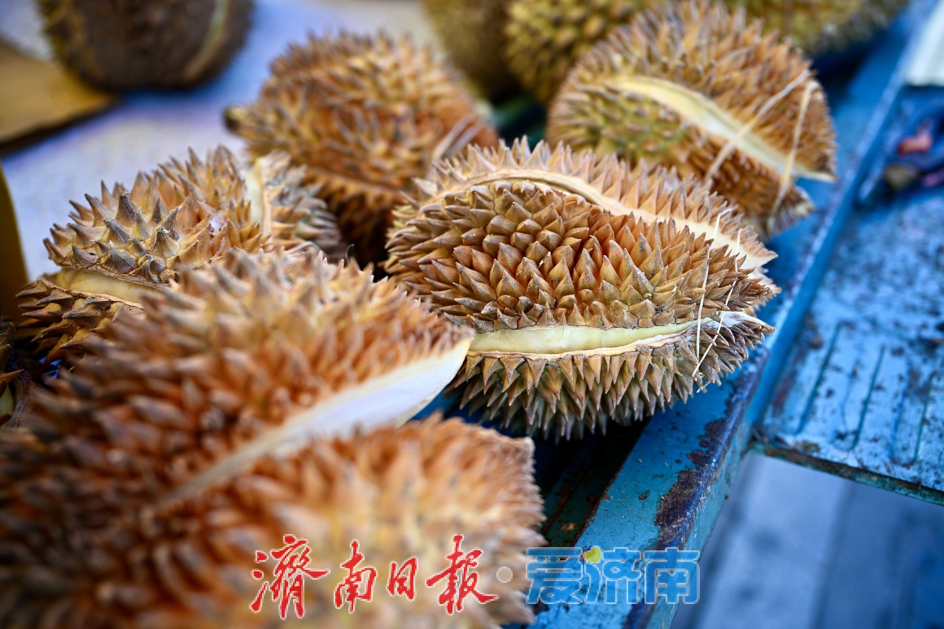 榴莲身价“大跳水” 济南堤口路市场飘满“黄金香”