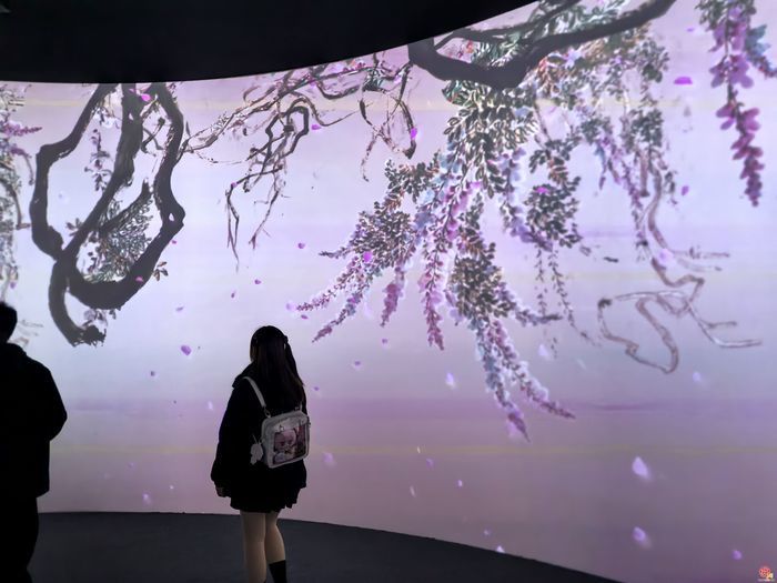 探展｜笔墨传薪火，光影见真趣 这就是白石！