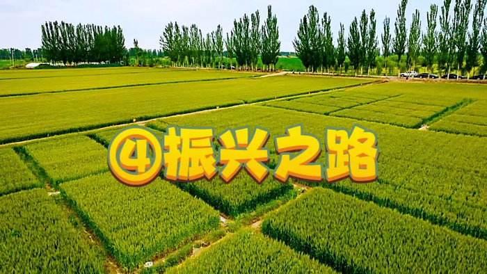 【一条路·一座城】④章丘：振兴之路！