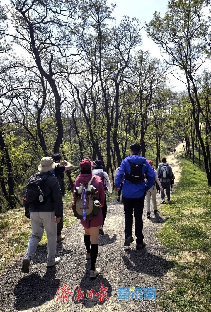 一年四季 泉在济南丨徒步药乡 奔赴山林之约