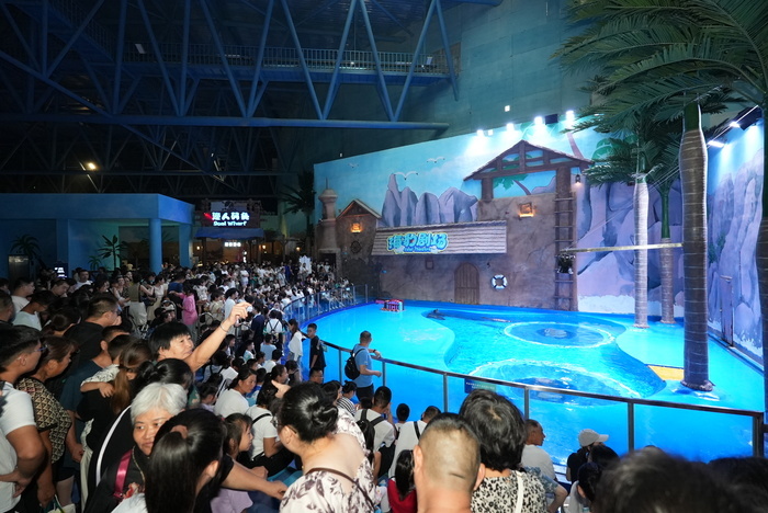 暑期接近尾声 游客“海底”觅清凉