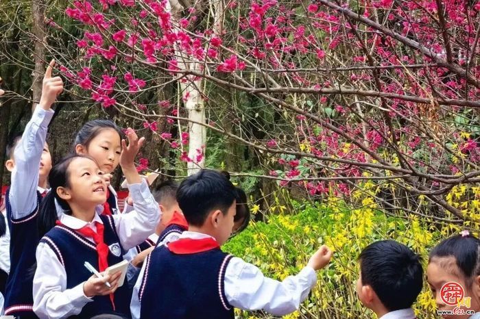 “健康第一”！济南教育在行动~