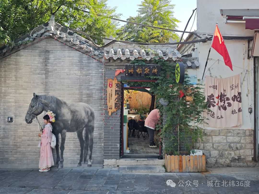 “泉”在济南享金秋｜济南明府城“上新”，遇见多重惊喜……