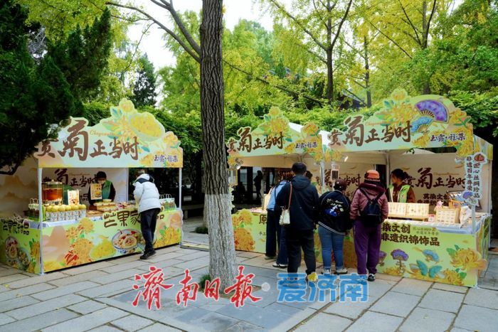 亮点纷呈 体验升级 第46届趵突泉金秋菊展今起开展