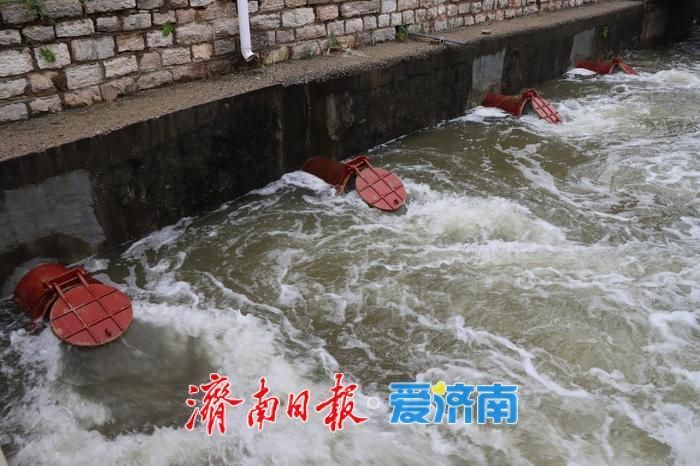 济南打了一场漂亮的秋收“保卫战”