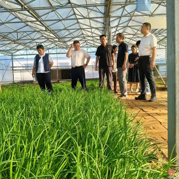 章丘区：开展专家服务活动 发展特色农业 助力乡村振兴发展