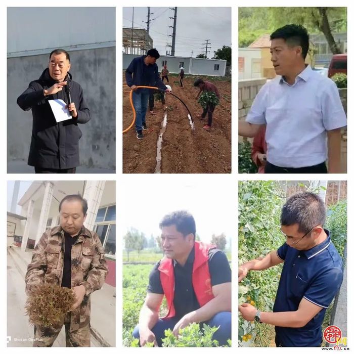 官庄街道：挥产业“妙笔” 擘共富“画卷”，激活高质量发展“一池春水”