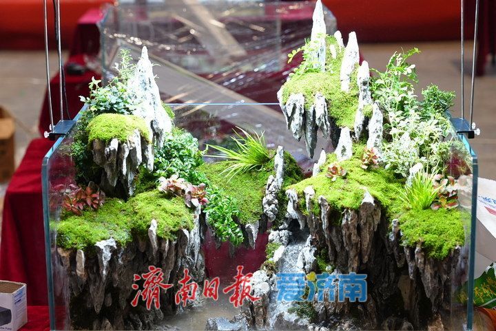 方寸之间藏天地！展会水陆缸微景观造景大赛激战正酣，高手齐聚济南