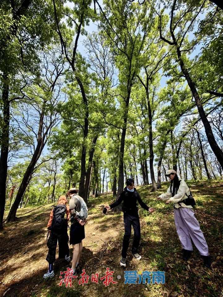 一年四季 泉在济南丨徒步药乡 奔赴山林之约
