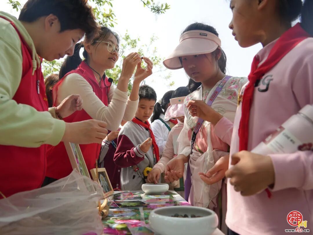 “绿满齐鲁 ——‘森’临其境·守护地球”