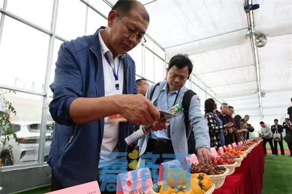 春日济南一路繁花，济南区县“五一”多彩文旅活动等你来打卡