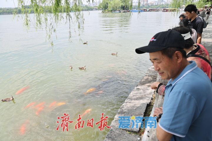 雨后清风拂面，大明湖成市民纳凉优选地