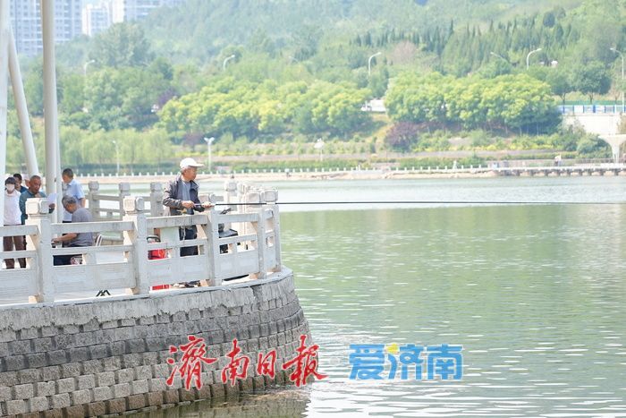 一年四季 泉在济南丨孟家水库生态美 垂钓休闲引客来